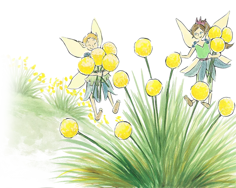 Hi there — We're the Founders of Tooth Pixies Australia!