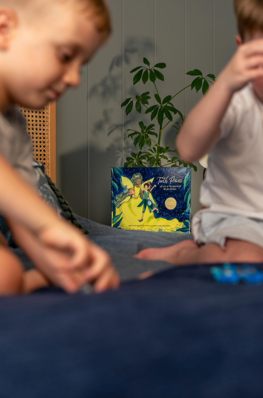 Tooth Pixie Family | 2 Tooth Pixies