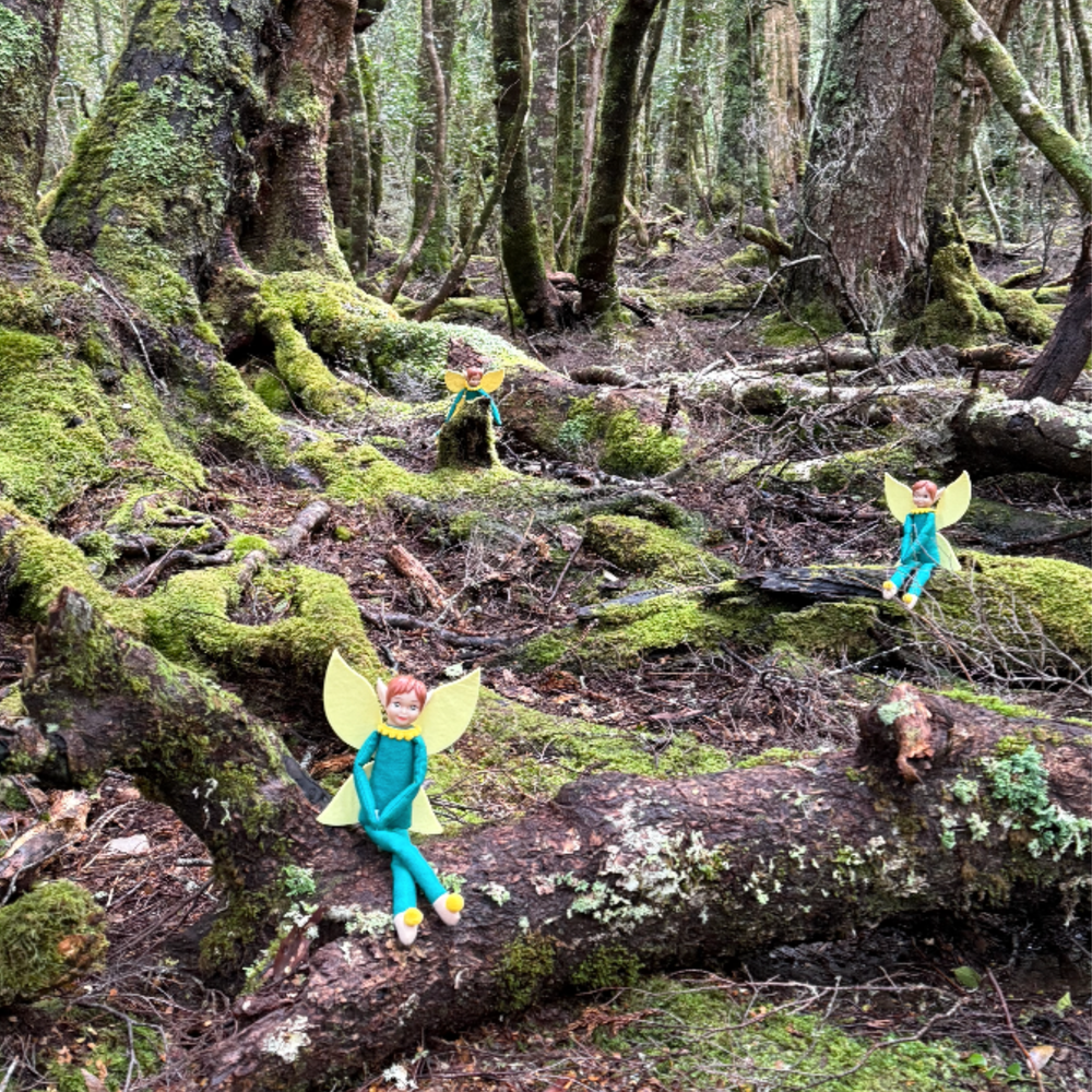 Tooth Pixies in the Ballroom Forest
