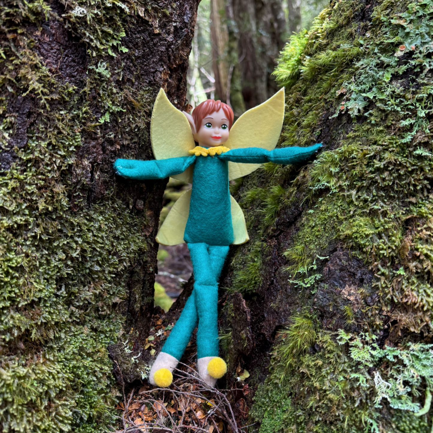 Tooth Pixie in the Ballroom Forest