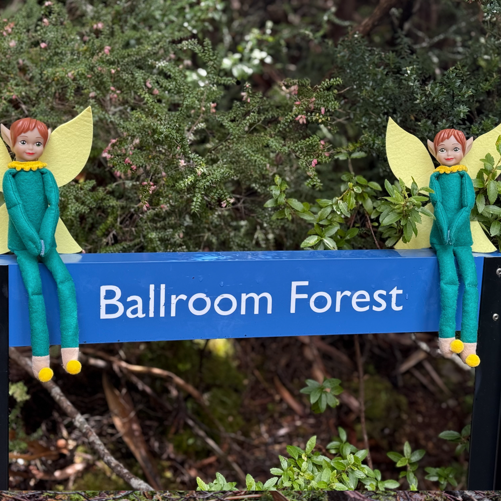 Two Tooth Pixies at Ballroom Forest